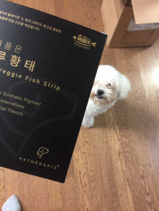 펫테라피 플레이트 야채품은 하루황태 — 4점을 준 리뷰어가 2020년 1월 올린 사용 사진