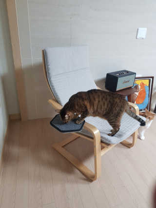 네롱이님이 올린 리뷰 사진 3