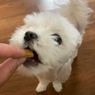 어거스트비님이 올린 리뷰 사진 4
