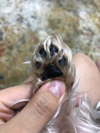 뽀송뽀송님이 올린 리뷰 사진 4