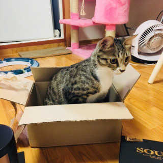뚜혀니님이 올린 리뷰 사진 3