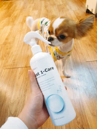 [펫토리아] 뚝딱케어 강아지 고양이 다목적세정제 — 4점을 준 리뷰어가 2020년 2월 올린 사용 사진