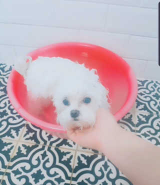 티티님이 올린 리뷰 사진 2