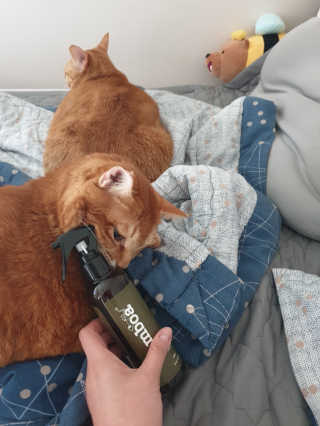 강미주님이 올린 리뷰 사진 3