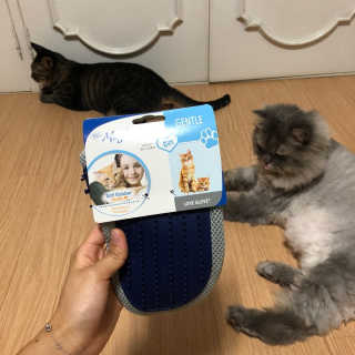 Four paws 리뉴얼 포포즈 매직코트 털 제거 브러쉬 — 5점을 준 리뷰어가 2018년 8월 올린 사용 사진