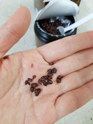 쮜블리님이 올린 리뷰 사진 3