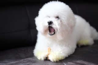 민아님이 올린 리뷰 사진 3