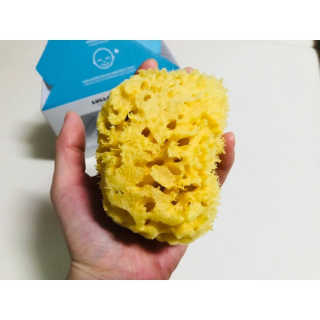 룰라러브 모공관리 끝 지중해산 천연해면 바디스펀지 — 4.33점을 준 리뷰어가 2018년 1월 올린 사용 사진
