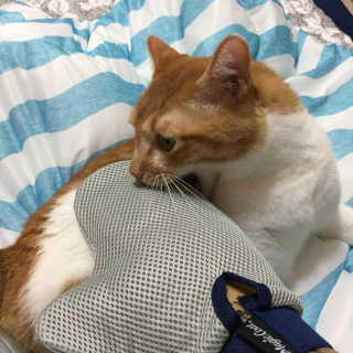 BockKiJang님이 올린 리뷰 사진 1
