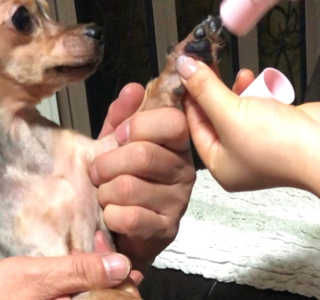숸님이 올린 리뷰 사진 4
