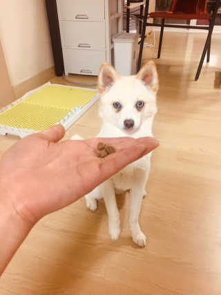 배혤님이 올린 리뷰 사진 4