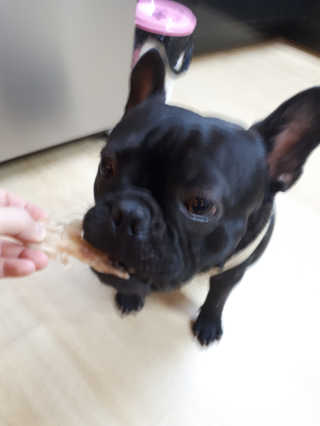 토르맘님이 올린 리뷰 사진 2