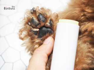 최정임님이 올린 리뷰 사진 3