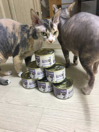 이아님이 올린 리뷰 사진 1