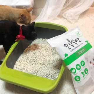 [펫토리아] BEST 고양이두부모래 6L 한삽뚝딱 — 4점을 준 리뷰어가 2019년 1월 올린 사용 사진