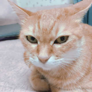 손정영님이 올린 리뷰 사진 3