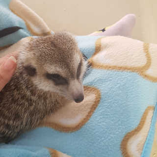 짱이야님이 올린 리뷰 사진 3