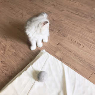yuni님이 올린 리뷰 사진 3