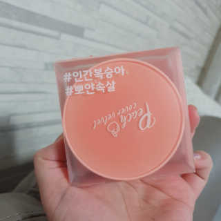 [블랙루즈] 피치 커버 벨벳 쿠션 2종 중 택1 — 5점을 준 리뷰어가 2019년 10월 올린 사용 사진