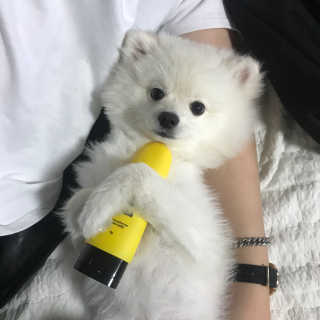 장혜진님이 올린 리뷰 사진 3