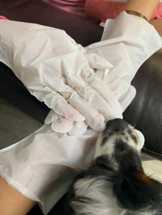 성광식님이 올린 리뷰 사진 2
