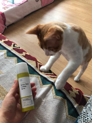 달리프 클로렐라 베러 루트 쿨링 스프레이 100ml — 4점을 준 리뷰어가 2019년 7월 올린 사용 사진