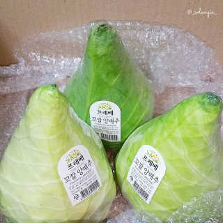 [프레베] 꼬깔양배추 3통 1.8kg 이상 — 5점을 준 리뷰어가 2018년 12월 올린 사용 사진