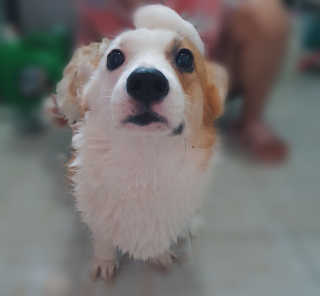 장진영님이 올린 리뷰 사진 4