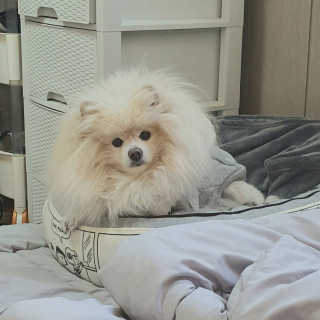 치리짱님이 올린 리뷰 사진 4