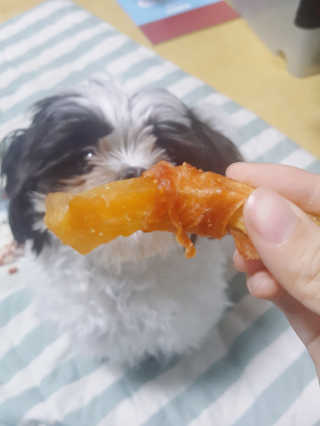 가횽님이 올린 리뷰 사진 1