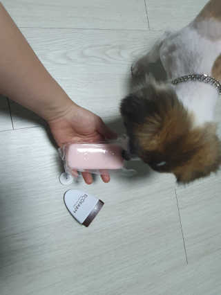 김미진님이 올린 리뷰 사진 2