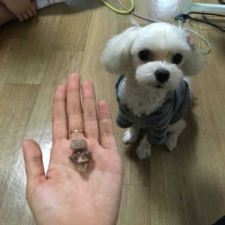 신다님이 올린 리뷰 사진 2
