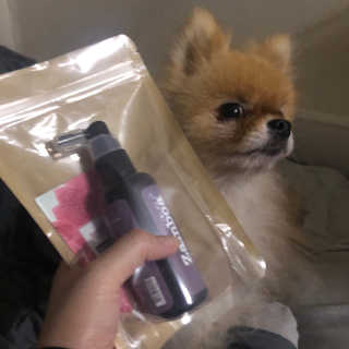 Honeyshop님이 올린 리뷰 사진 2