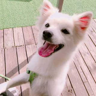 핑크팬더님이 올린 리뷰 사진 4