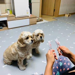 뽀니님이 올린 리뷰 사진 2
