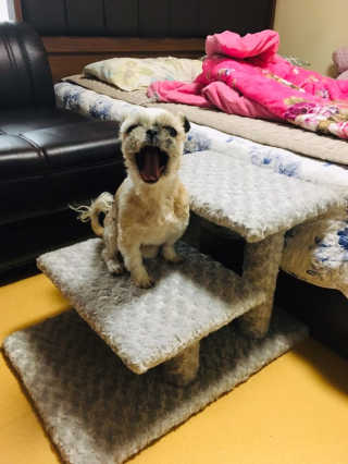 자유부인님이 올린 리뷰 사진 2