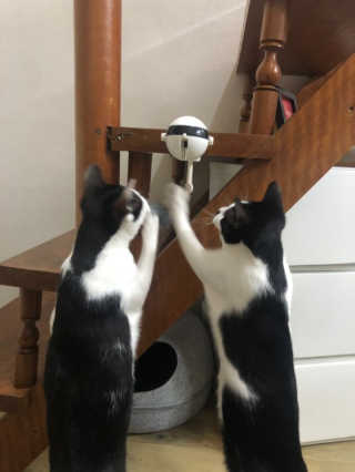 쩡님이 올린 리뷰 사진 2