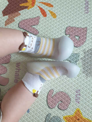 멍멍언니님이 올린 리뷰 사진 1