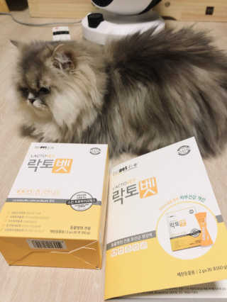 꼬끼오님이 올린 리뷰 사진 1