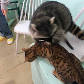 뚭잉님이 올린 리뷰 사진 4