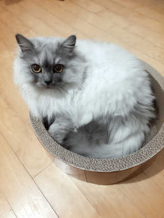 미미님이 올린 리뷰 사진 2