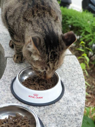 겸둥이연우맘님이 올린 리뷰 사진 3