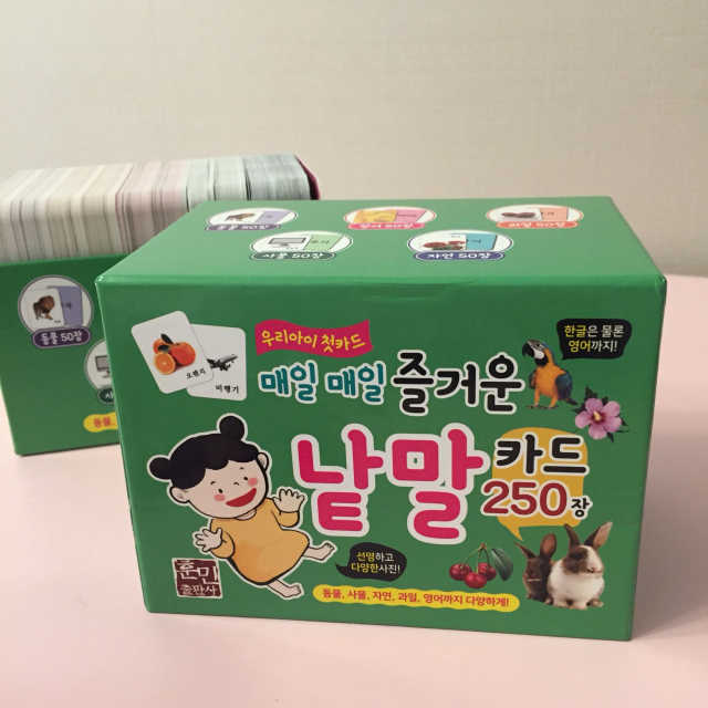 매일매일 즐거운 낱말카드 250장 리뷰 사진