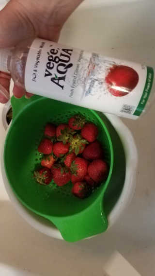 베지아쿠아 야채 아쿠아 475ml — 1점을 준 리뷰어가 2019년 9월 올린 사용 사진