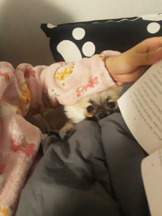 heeyaa88님이 올린 리뷰 사진 2