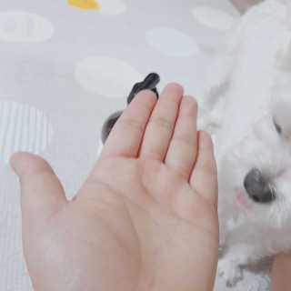 박수인님이 올린 리뷰 사진 4