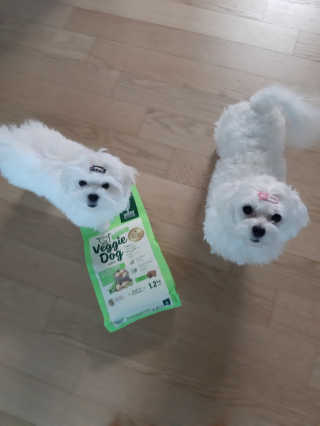 꿍님이 올린 리뷰 사진 1