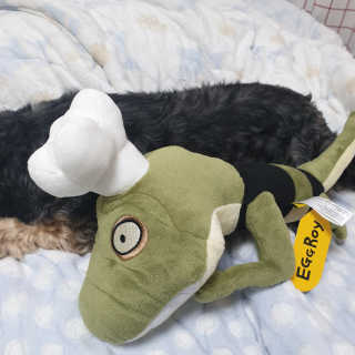 Rooloo님이 올린 리뷰 사진 2