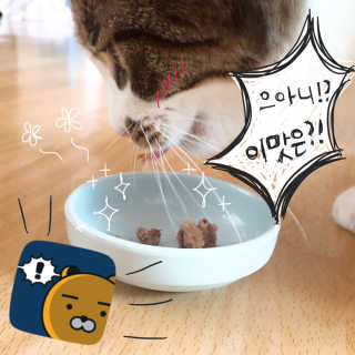 노링이님이 올린 리뷰 사진 3