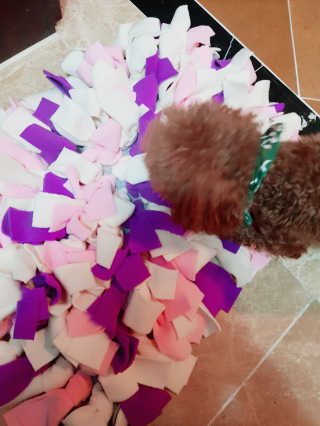 서지선님이 올린 리뷰 사진 2
